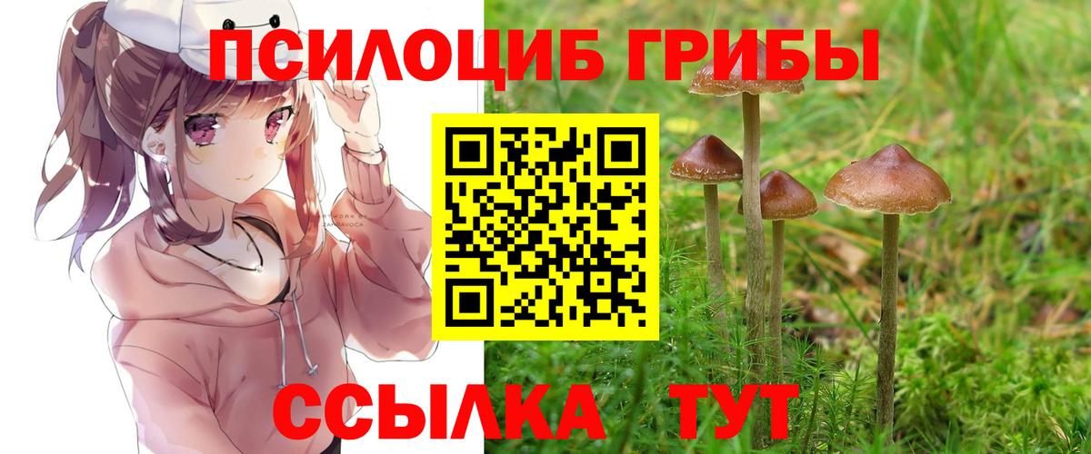 Псилоцибиновые грибы прущие грибы  Вход с VPN  Ленинск-Кузнецкий 