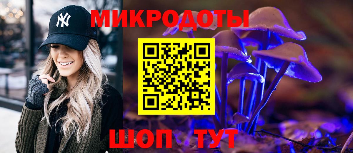 Галлюциногенные грибы Psilocybine cubensis Ленинск-Кузнецкий