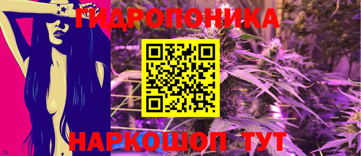 Ленинск-Кузнецкий  Бошки Шишки Ganja  Бошки Шишки тримм  Конопля индика  Вход с VPN 